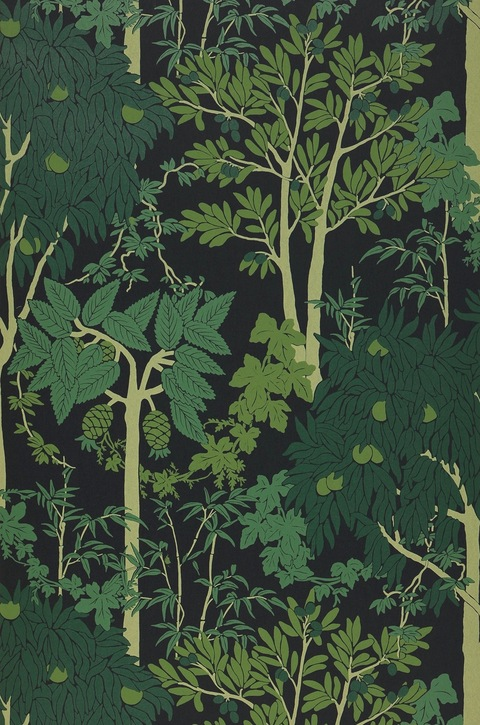 Header of missmolliebee