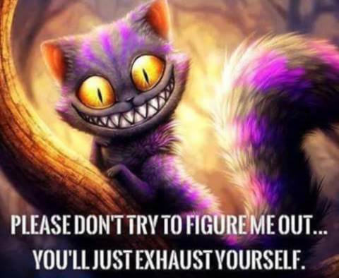 Header of momma061716