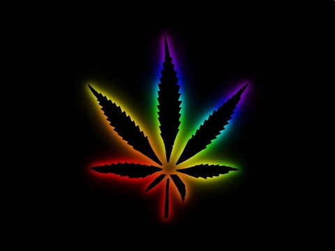 Header of moneymakinlesbians