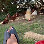 Download natalienate69 OnlyFans videos and photos for free 

 profile picture