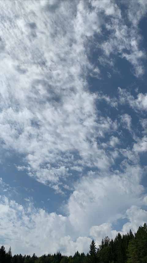 Header of nellr