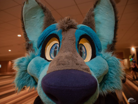 Header of neon_woof