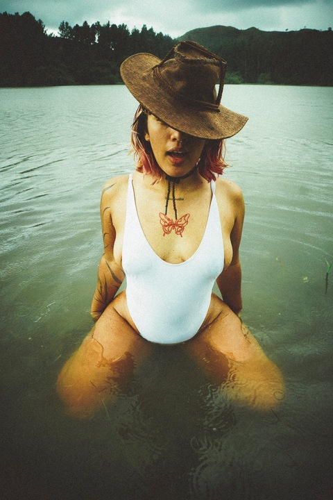 Header of nicolejuperretta