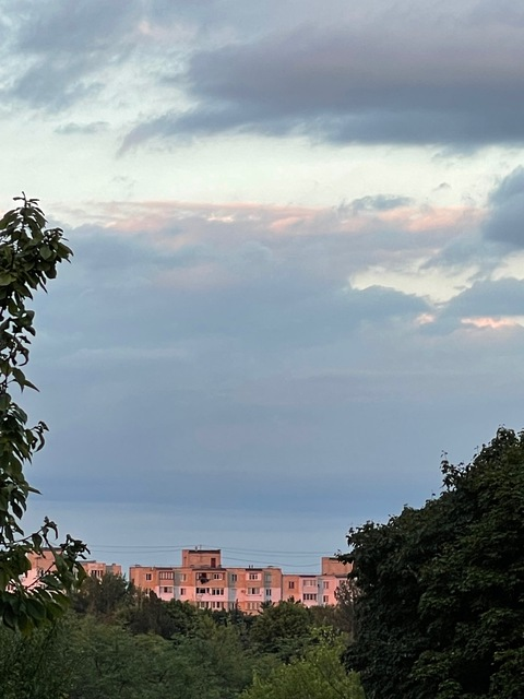 Header of nicosspeach
