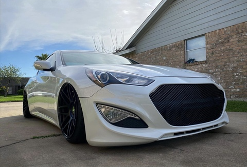 Header of nikkygenesis