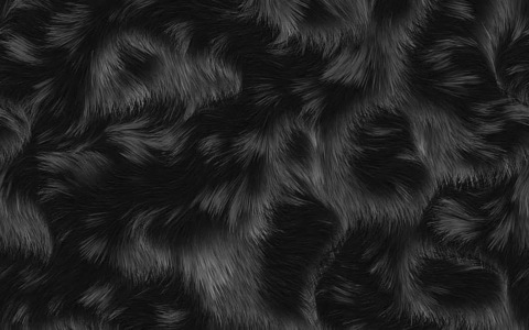 Header of nikolesfanpage