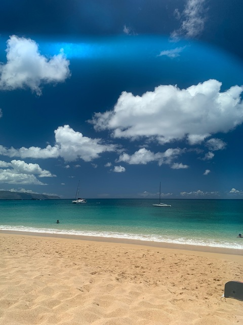 Header of oceanlovaaa
