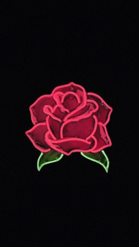 Header of ofaudreerose