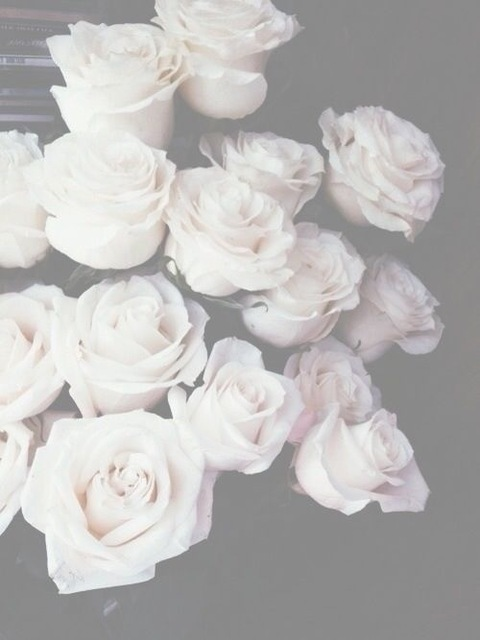Header of officialmsjrose