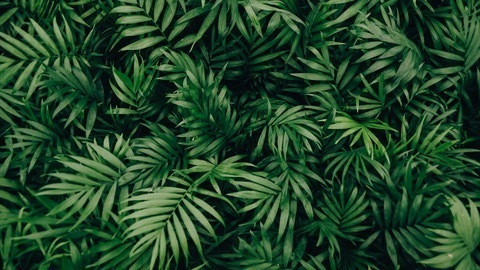Header of ooolalala