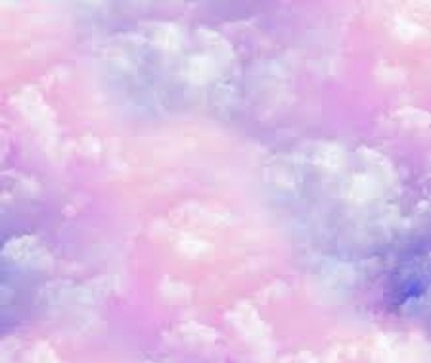 Header of plarae666