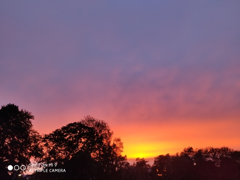 Header of princessmey