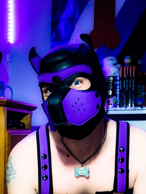 Header of pup-jester
