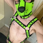 pupej1990 (PupEJ90) free OnlyFans content 

 profile picture