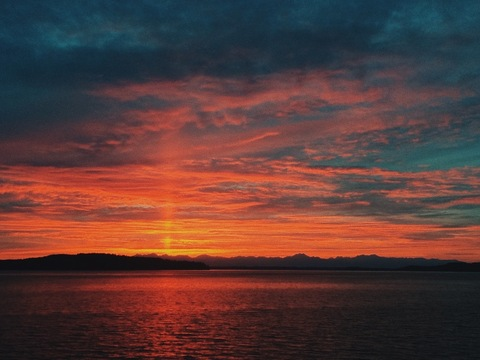 Header of puppislut