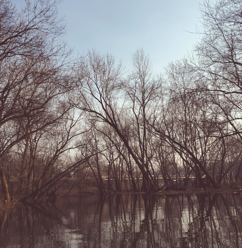Header of queen-bee24