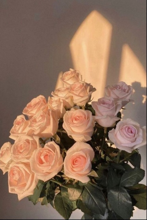 Header of radiantfleur