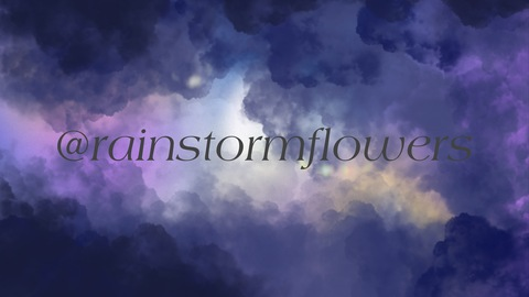 Header of rainstormflowers