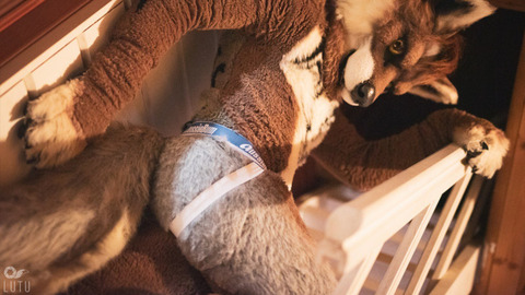 Header of randonwolf