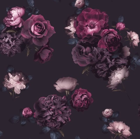 Header of raylynnandpenny