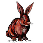 Free access to redrabbit6969 Leaks OnlyFans 

 profile picture