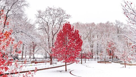 Header of redsnoww