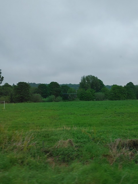 Header of rose19971121