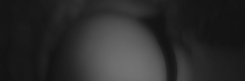 Header of roxi.xxx