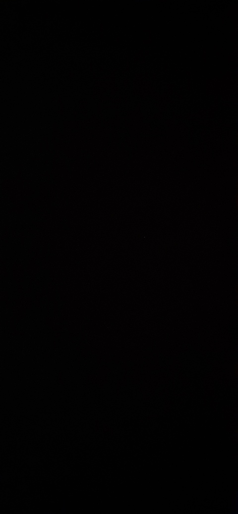 Header of saltycelina