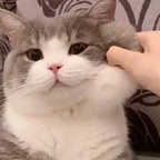 (ノT＿T)ノ ＾┻━┻ @satancake Leaked OnlyFans 

 profile picture