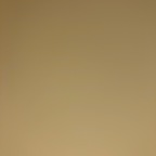 TntDinoMight (satansbabyy) Leaks OnlyFans 

 profile picture