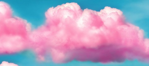 Header of scottishslztxx