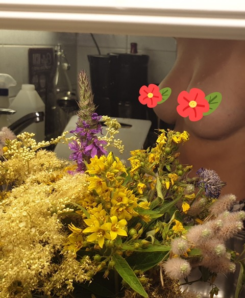 Header of seireeni
