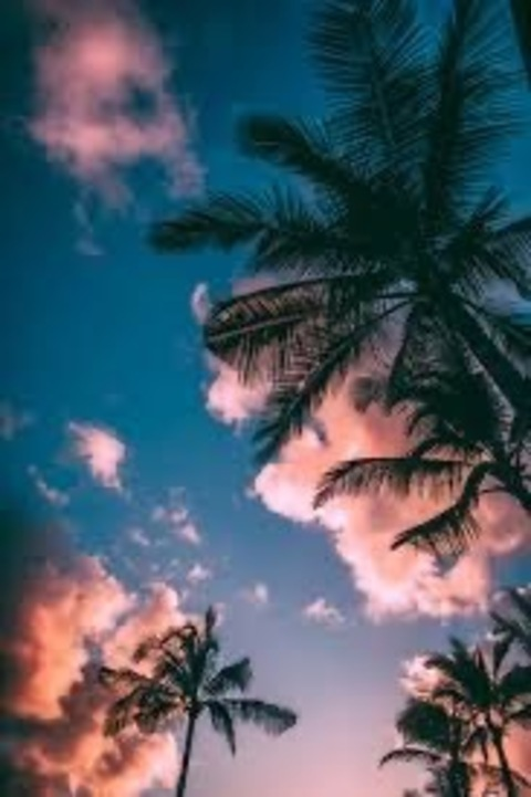 Header of sexy_b97