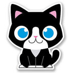 Download sexyandshine OnlyFans content for free 

 profile picture