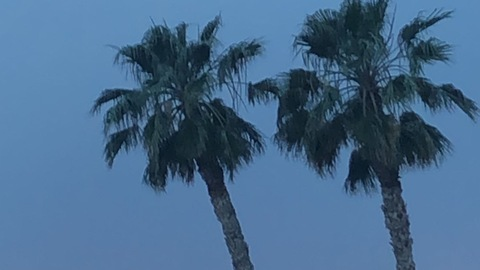 Header of sexysaggeryo