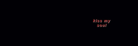 Header of shadowrabbit