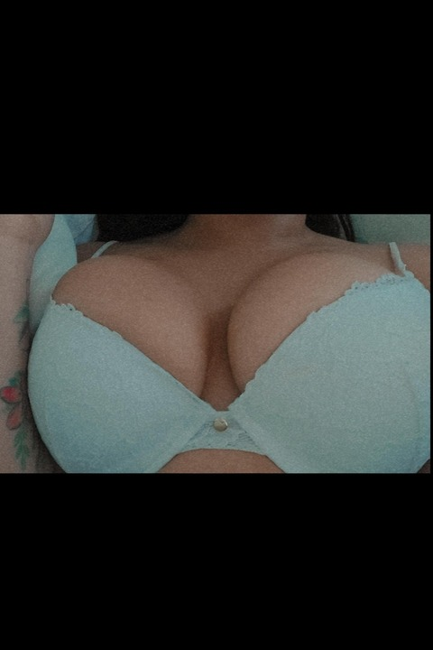 Header of shilly_willy