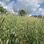 Free access to @shruboneout Leak OnlyFans 

 profile picture