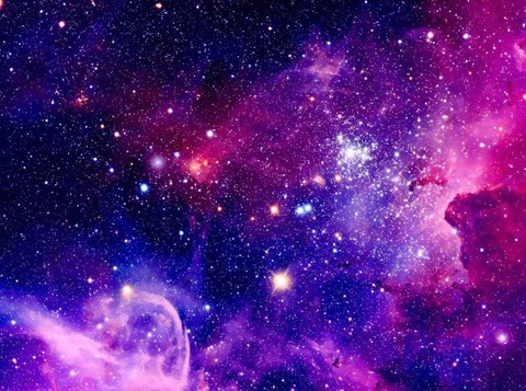 Header of slybunny123