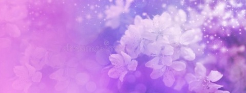 Header of snickerz26