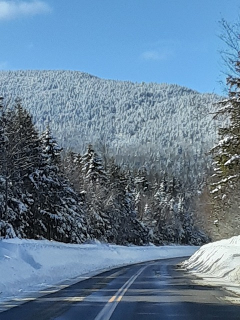 Header of snowbabe