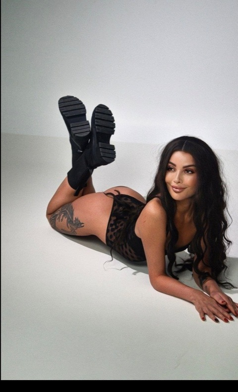 Header of sofi_ko