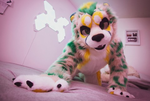 Header of somenoodle