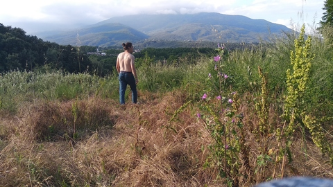 Header of spathyfillum