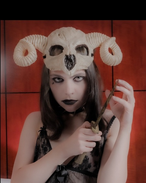 Header of specialt666