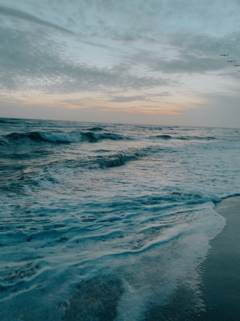 Header of srta.piingu