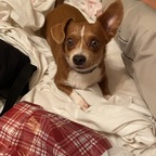 starpowwa OnlyFans Leaked 

 profile picture