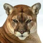 Download stevefrench92 OnlyFans leaks for free 

 profile picture