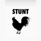 stunttcock OnlyFans Leak 

 profile picture